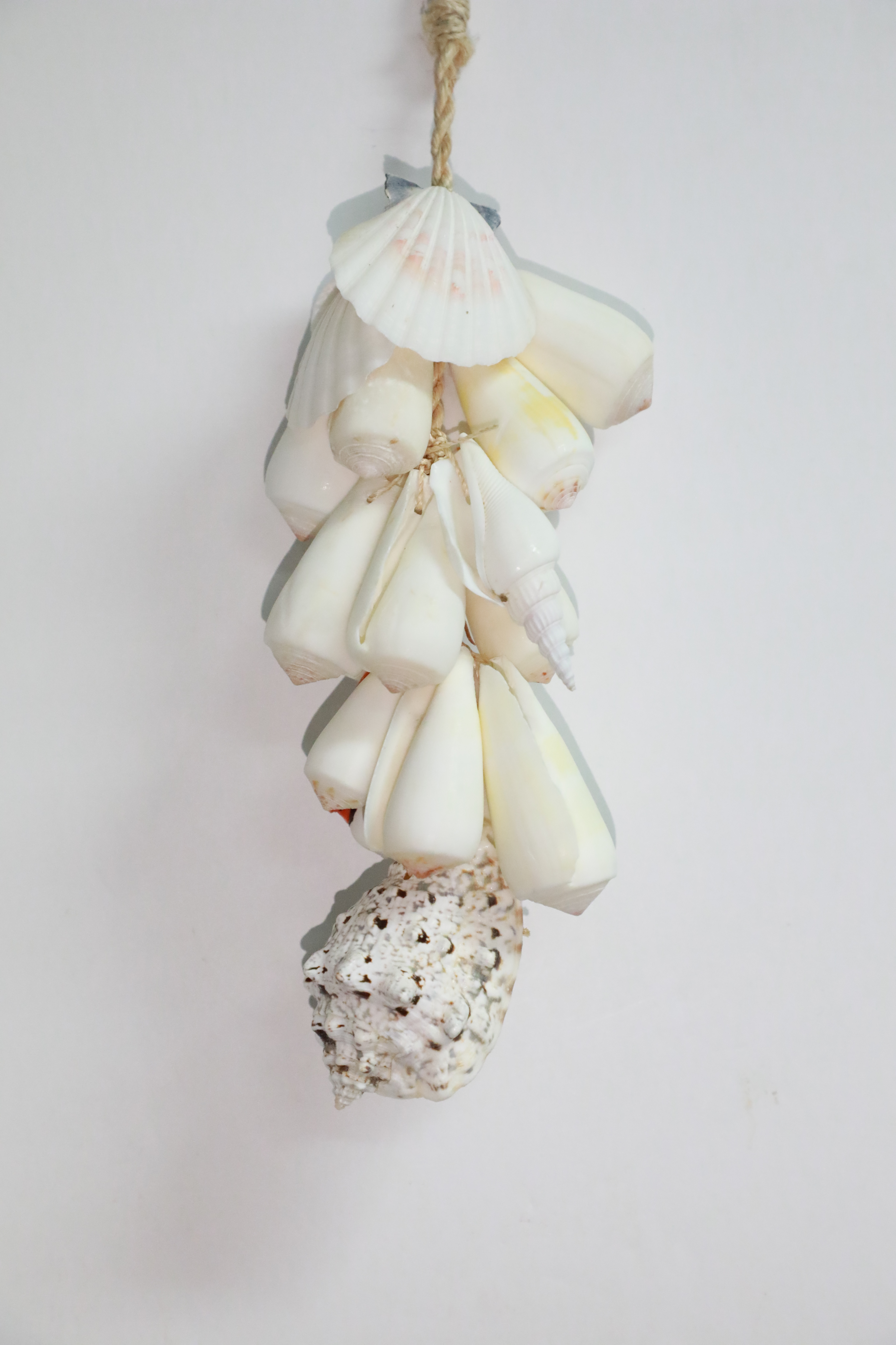 Shell Cluster White